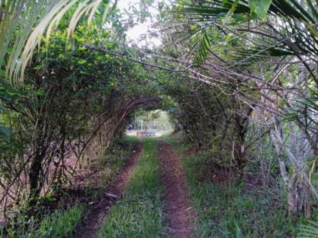 Sítio e chácara venda em Região Geográfica Imediata de Oliveira, Região Metropolitana de Belo Horizonte
