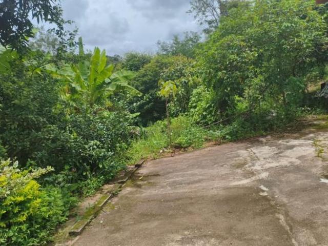 Sítio e chácara venda em Região Geográfica Imediata de Oliveira, Piedade dos Gerais
