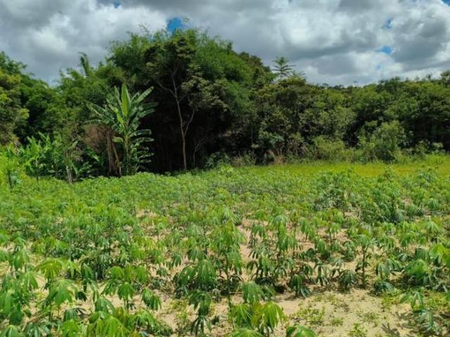 Sítio e chácara venda em Piedade dos Gerais, Região Geográfica Intermediária de Divinópolis