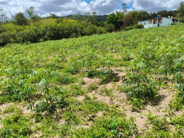 Sítio e chácara venda em Região Geográfica Imediata de Oliveira, Piedade dos Gerais