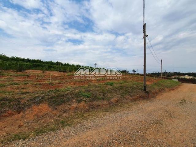 Sítio e chácara venda em Região Imediata de Campinas, Região Metropolitana de Campinas