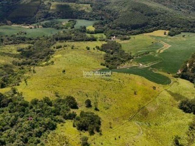 Sítio e chácara venda em Região Geográfica Imediata de Ponta Grossa, Arapoti