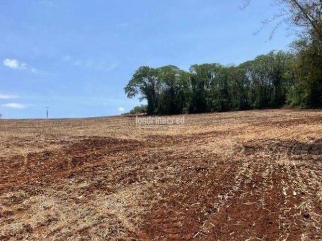 Sítio e chácara venda em Região Geográfica Imediata de Cornélio Procópio-Bandeirantes, Uraí