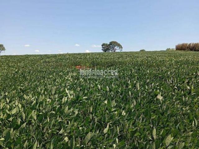 Sítio e chácara venda em Região Geográfica Imediata de Cornélio Procópio-Bandeirantes, Uraí