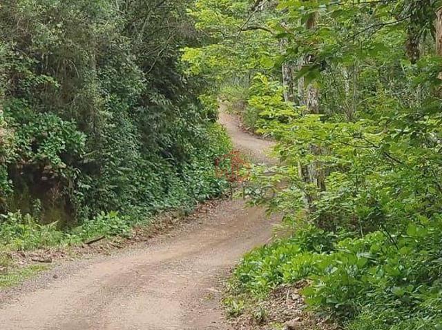 Sítio e chácara venda em Região Geográfica Imediata de Caxias do Sul, São Francisco de Paula