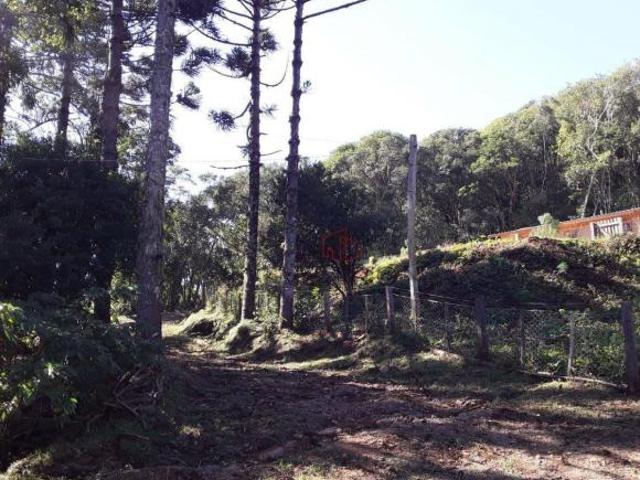 Sítio e chácara venda em Tainhas, São Francisco de Paula