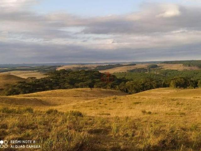 Sítio e chácara venda em Eletra, São Francisco de Paula