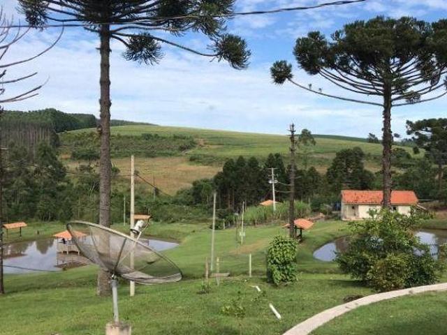 Sítio e chácara venda em Terra Nova, São Jerônimo da Serra