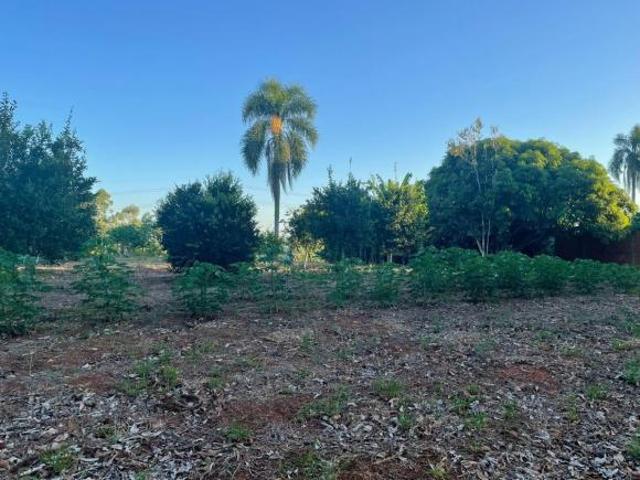 Sítio e chácara venda em Residencial Alvorada, São Miguel Arcanjo