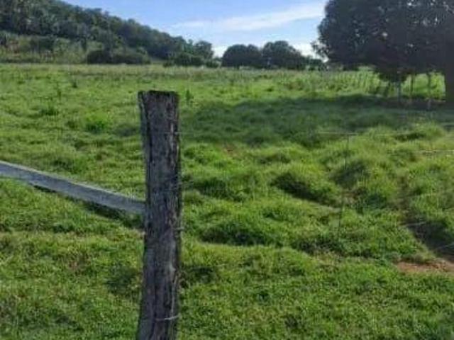 Sítio e chácara venda em Região Geográfica Imediata de Cuiabá, Região Metropolitana do Vale do Rio Cuiabá