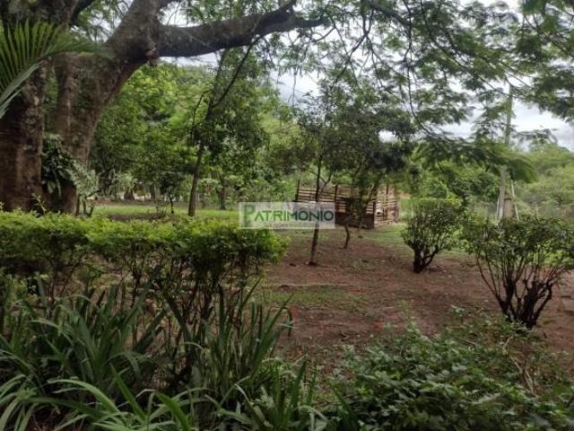 Sítio e chácara venda em Região Imediata de Campinas, Região Metropolitana de Campinas