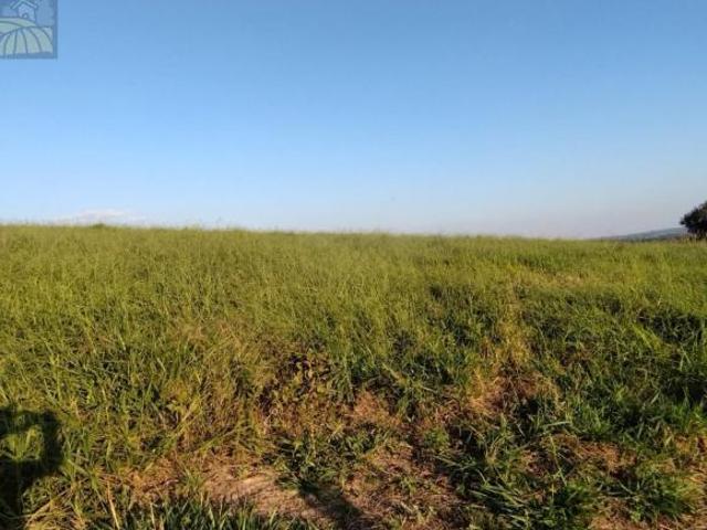 Sítio e chácara venda em Sarapuí