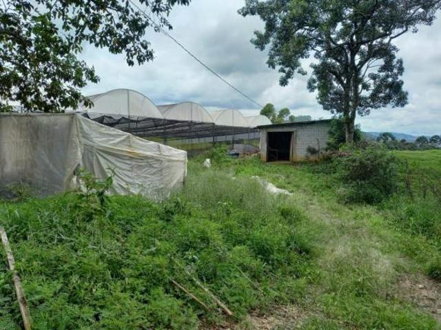 Sítio e chácara venda em Região Geográfica Imediata de Pouso Alegre, Senador Amaral
