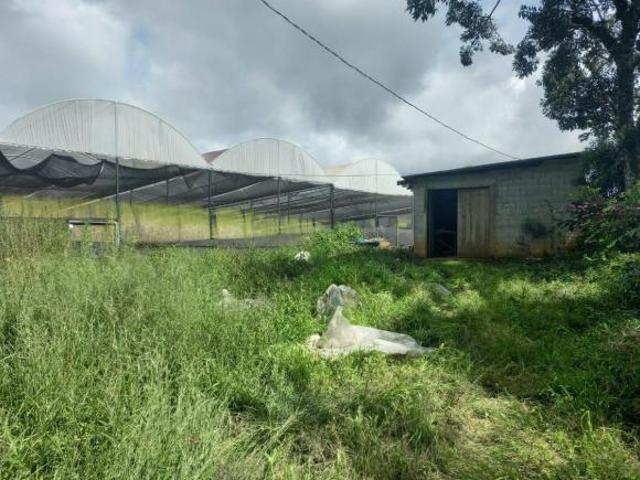 Sítio e chácara venda em Senador Amaral, Região Geográfica Intermediária de Pouso Alegre