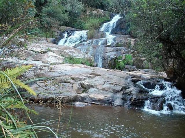 Sítio e chácara venda em Região Geográfica Imediata de Pouso Alegre, Senador Amaral