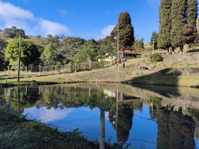 Sítio e chácara venda em Região Geográfica Imediata de Pouso Alegre, Senador Amaral