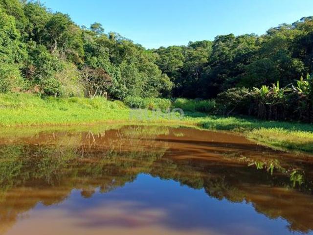 Sítio e chácara venda em Região Imediata de Amparo, Amparo