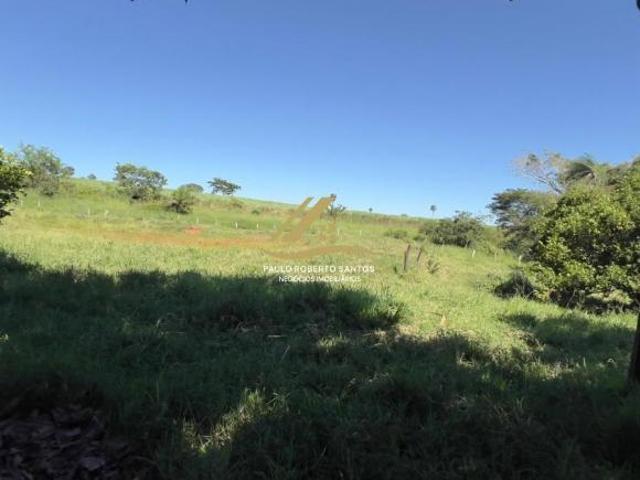 Sítio e chácara venda em Região Imediata de São José do Rio Preto, Região Metropolitana de São José do Rio Preto