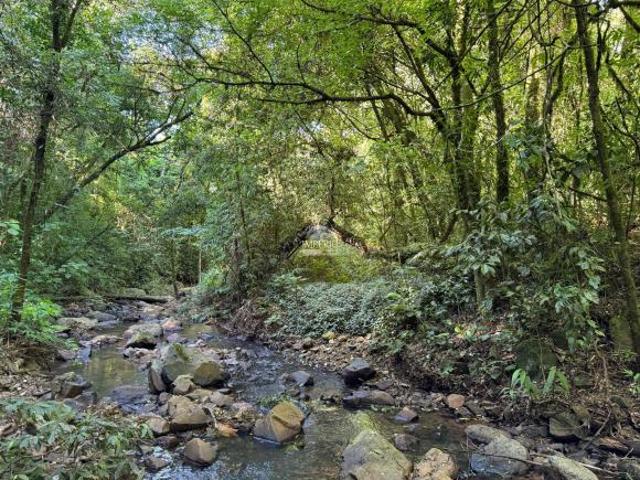 Sítio e chácara venda em Região Geográfica Imediata de Taquara - Parobé - Igrejinha, Três Coroas