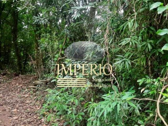 Sítio e chácara venda em Região Geográfica Imediata de Taquara - Parobé - Igrejinha, Três Coroas