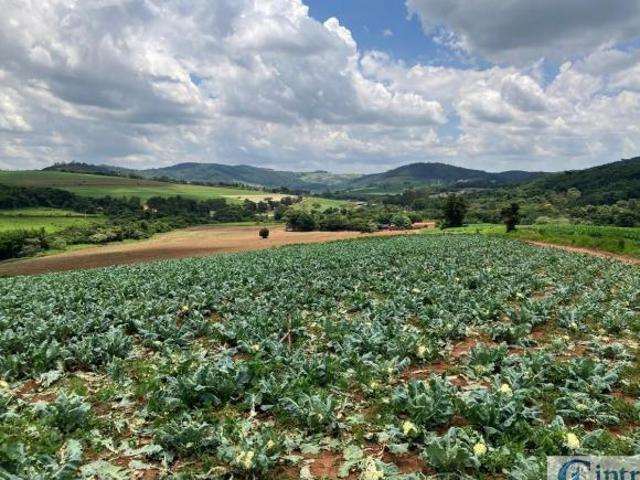 Sítio e chácara venda em Região Imediata de Bragança Paulista, Tuiuti