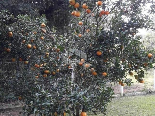 Sítio e chácara venda em Capororoca, Viamão