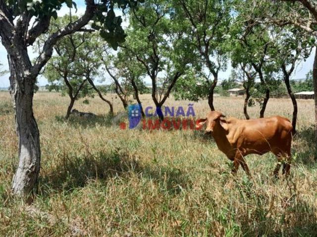 Sítio e chácara venda em Miraporanga, Uberlândia