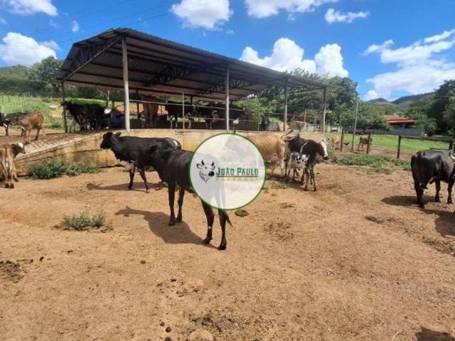 Sítio e chácara venda em Região Geográfica Imediata do Distrito Federal, Região Integrada de Desenvolvimento do Distrito Federal e Entorno