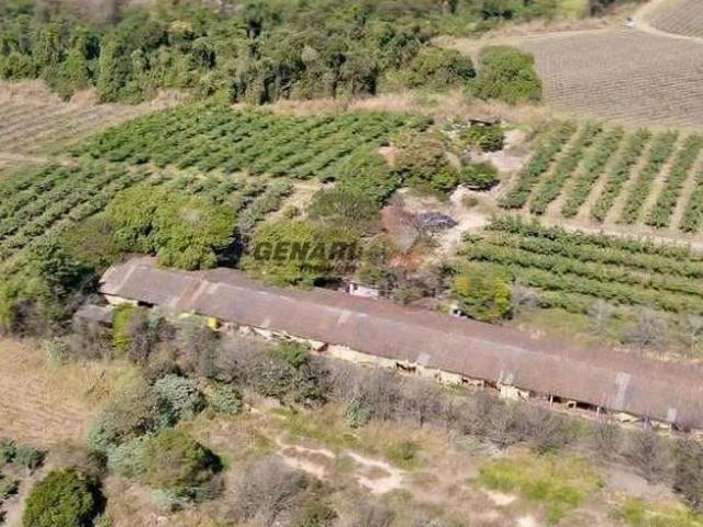 Sítio e chácara venda em Região Imediata de Campinas, Região Metropolitana de Campinas