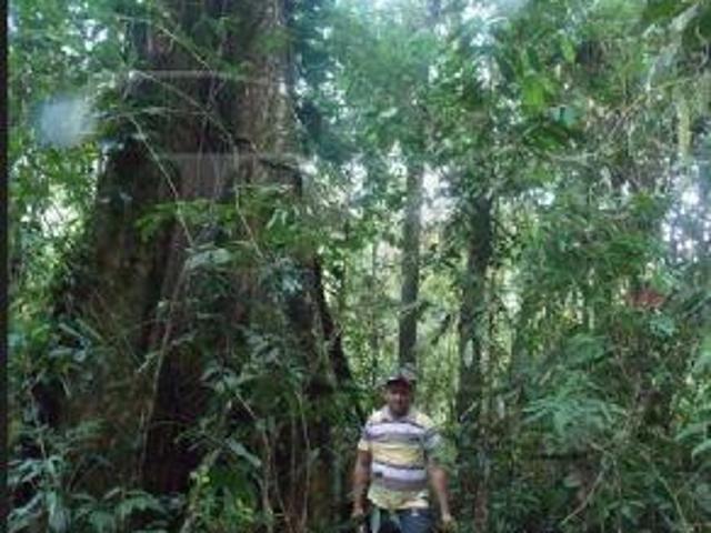 Sítio e chácara venda em Região Imediata de Registro, Juquia