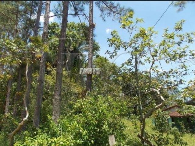 Sítio e chácara venda em Região Imediata de Registro, Juquia
