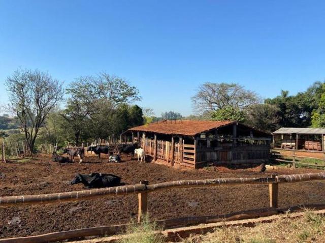 Sítio e chácara venda em Região Imediata de Piracicaba, Laranjal Paulista