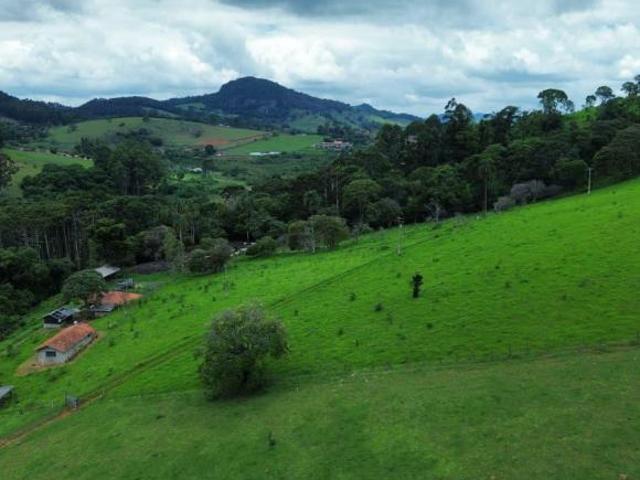 Sítio e chácara venda em Munhoz, Minas Gerais