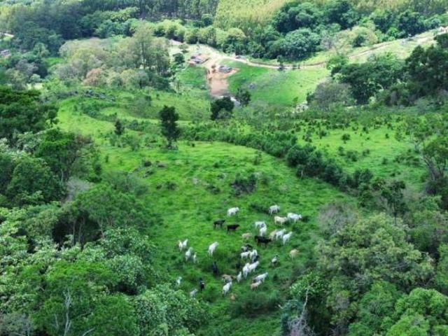 Sítio e chácara venda em Munhoz, Minas Gerais