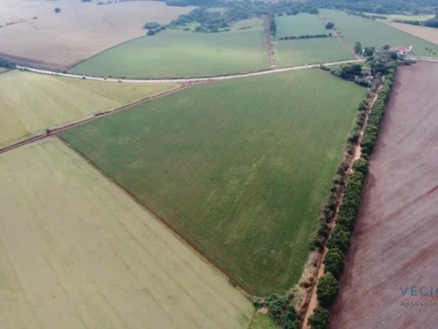 Fazenda venda em Região Geográfica Imediata de Londrina, Ibiporã