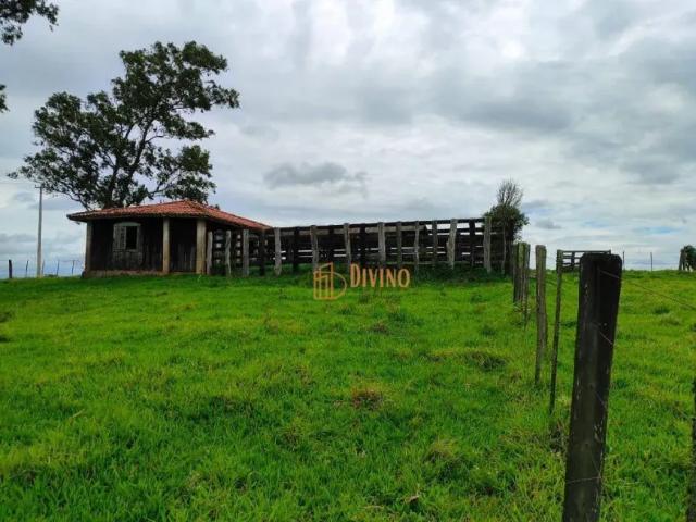 Fazenda venda em Região Imediata de Itapetininga, Região Metropolitana de Sorocaba