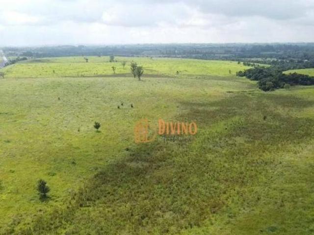 Sítio e chácara venda em Tatuí, São Paulo