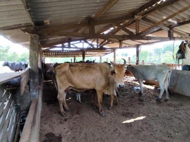 Sítio e chácara venda em Região Imediata de Franca, Juranda