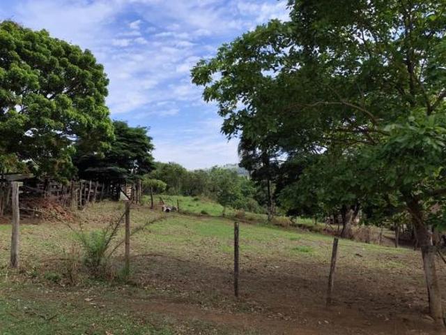Sítio e chácara venda em Região Imediata de Franca, Juranda