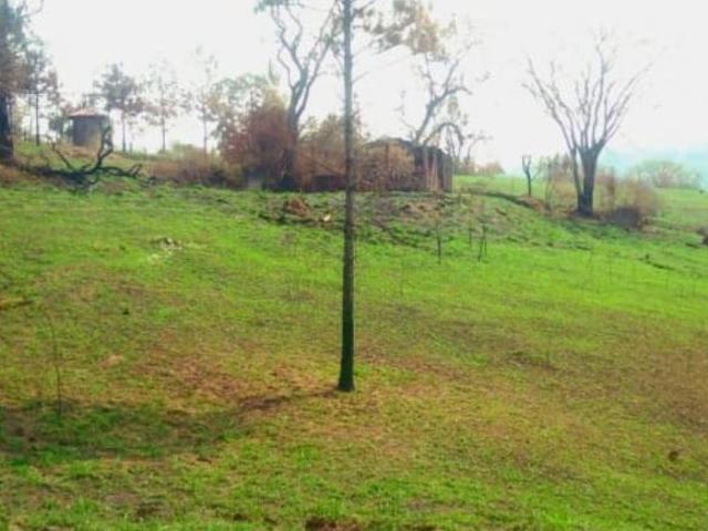 Sítio e chácara venda em Chacaras Pury, Itu