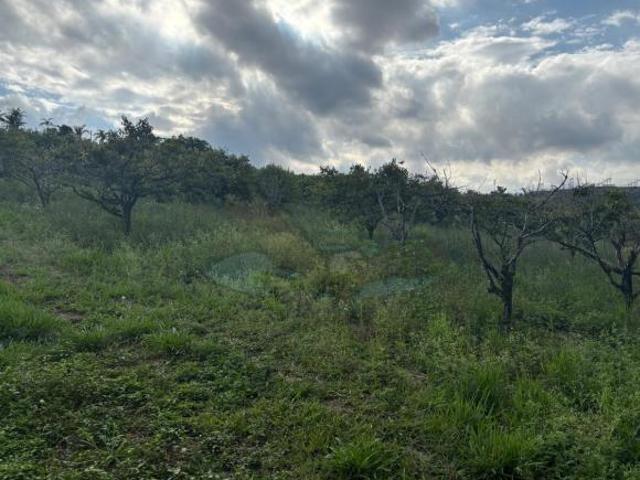 Sítio e chácara venda em Região Imediata de Sorocaba, Região Metropolitana de Sorocaba