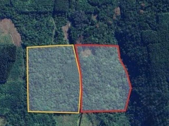 Sítio e chácara venda em Região Geográfica Imediata de Taquara - Parobé - Igrejinha, Região Metropolitana de Porto Alegre