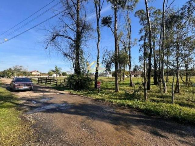 Sítio e chácara venda em Região Geográfica Imediata de Porto Alegre, Região Metropolitana de Porto Alegre