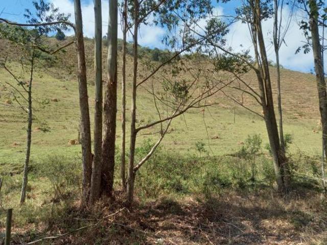 Sítio e chácara venda em Parque Guarani, Juiz de Fora