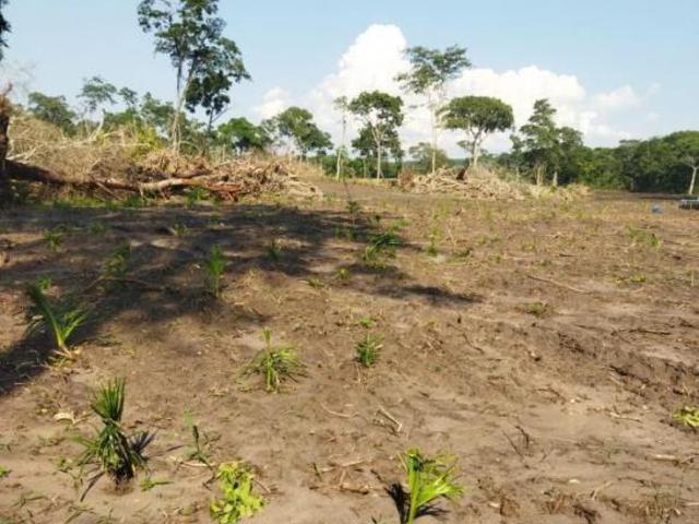 Sítio e chácara venda em Região Geográfica Imediata de Aquidauana - Anastácio, Miranda