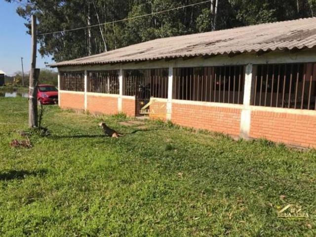 Sítio e chácara venda em Região Geográfica Imediata de Porto Alegre, Região Metropolitana de Porto Alegre