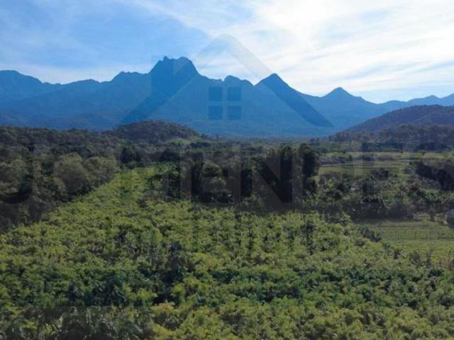 Sítio e chácara venda em Região Geográfica Imediata de Paranaguá, Antonina