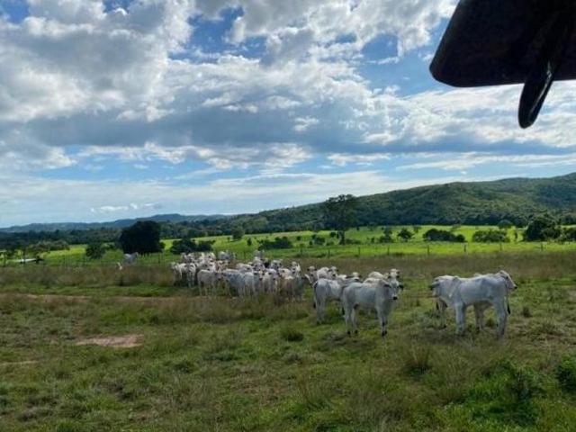 Sítio e chácara venda em Iporá, Região Geográfica Intermediária de São Luís de Montes Belos-Iporá