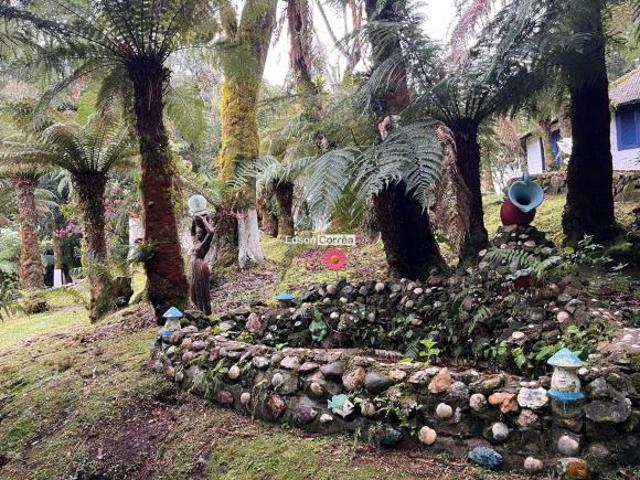 Sítio e chácara venda em Pedra Branca, São Francisco de Paula