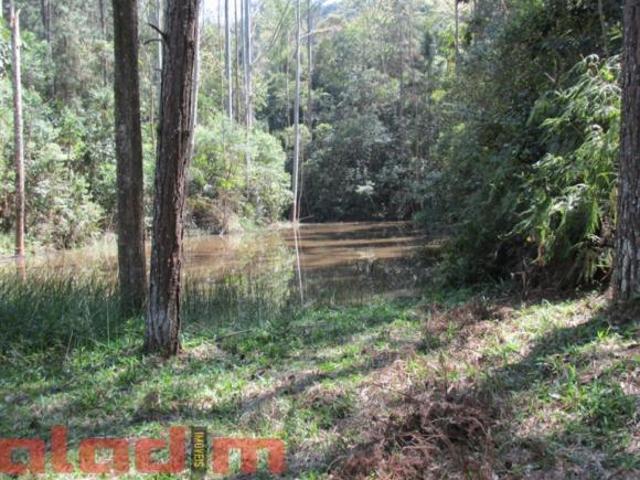 Sítio e chácara venda em Vila Roschel, Biritiba-Mirim